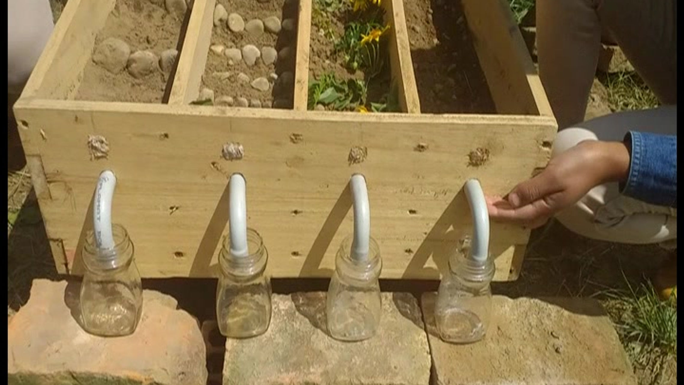 Caja de Erosión